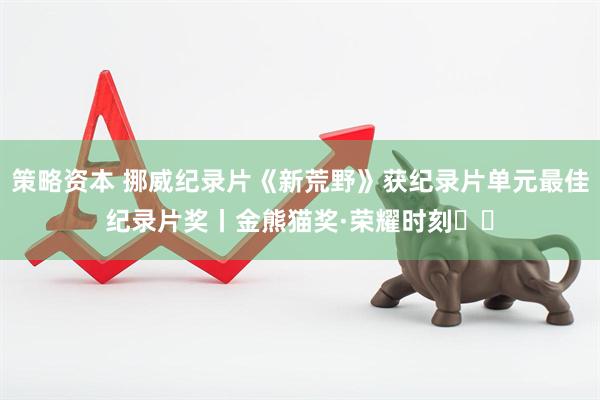 策略资本 挪威纪录片《新荒野》获纪录片单元最佳纪录片奖丨金熊猫奖·荣耀时刻​​