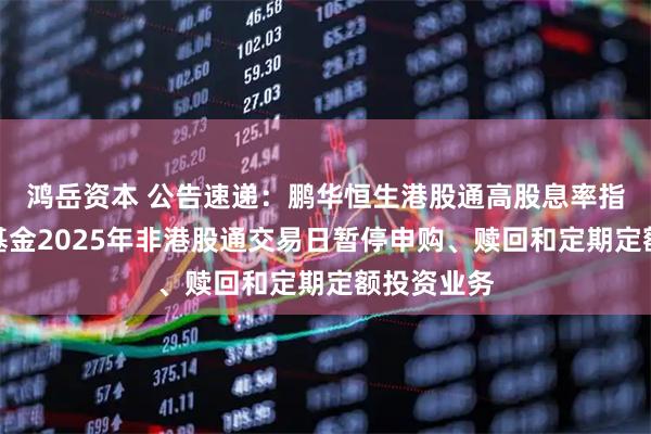 鸿岳资本 公告速递：鹏华恒生港股通高股息率指数发起式基金2025年非港股通交易日暂停申购、赎回和定期定额投资业务
