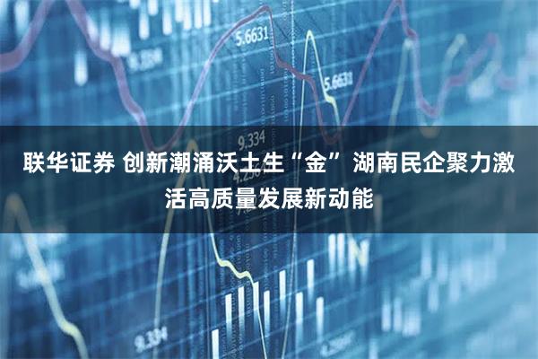 联华证券 创新潮涌沃土生“金” 湖南民企聚力激活高质量发展新动能
