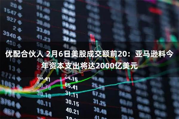 优配合伙人 2月6日美股成交额前20：亚马逊料今年资本支出将达2000亿美元