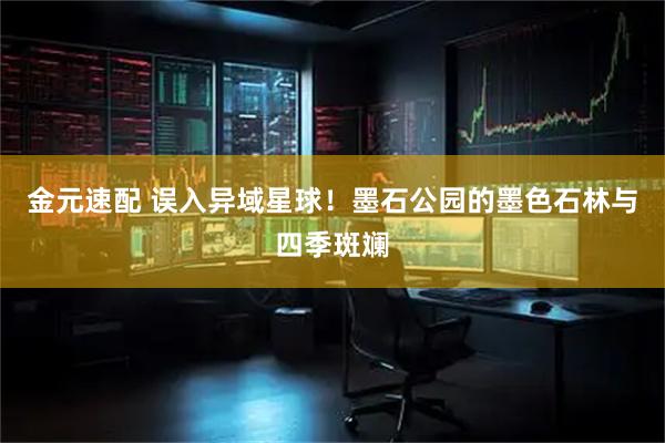 金元速配 误入异域星球！墨石公园的墨色石林与四季斑斓