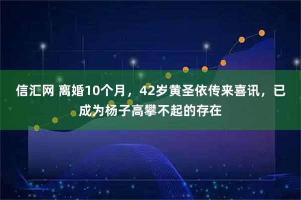 信汇网 离婚10个月，42岁黄圣依传来喜讯，已成为杨子高攀不起的存在