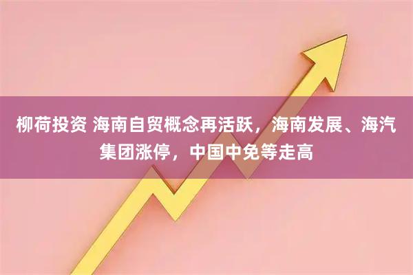 柳荷投资 海南自贸概念再活跃,海南发展、海汽集团涨停,中国中免等走高