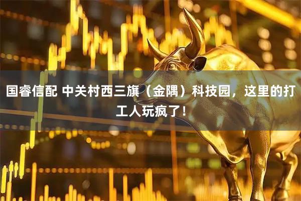 国睿信配 中关村西三旗（金隅）科技园，这里的打工人玩疯了！