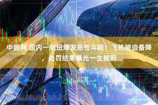中股网 国内一航班爆发恶性斗殴！飞机被迫备降，处罚结果曝光一生被毁